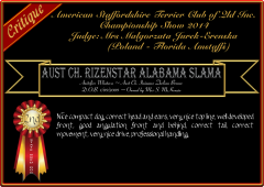 Rizenstar Alabama Slama.png